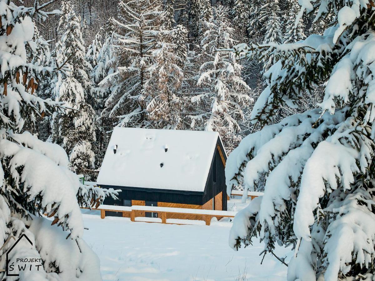 Projekt Swit - Domki Z Prywatna Jacuzzi I Sauna Żywiec Exteriör bild