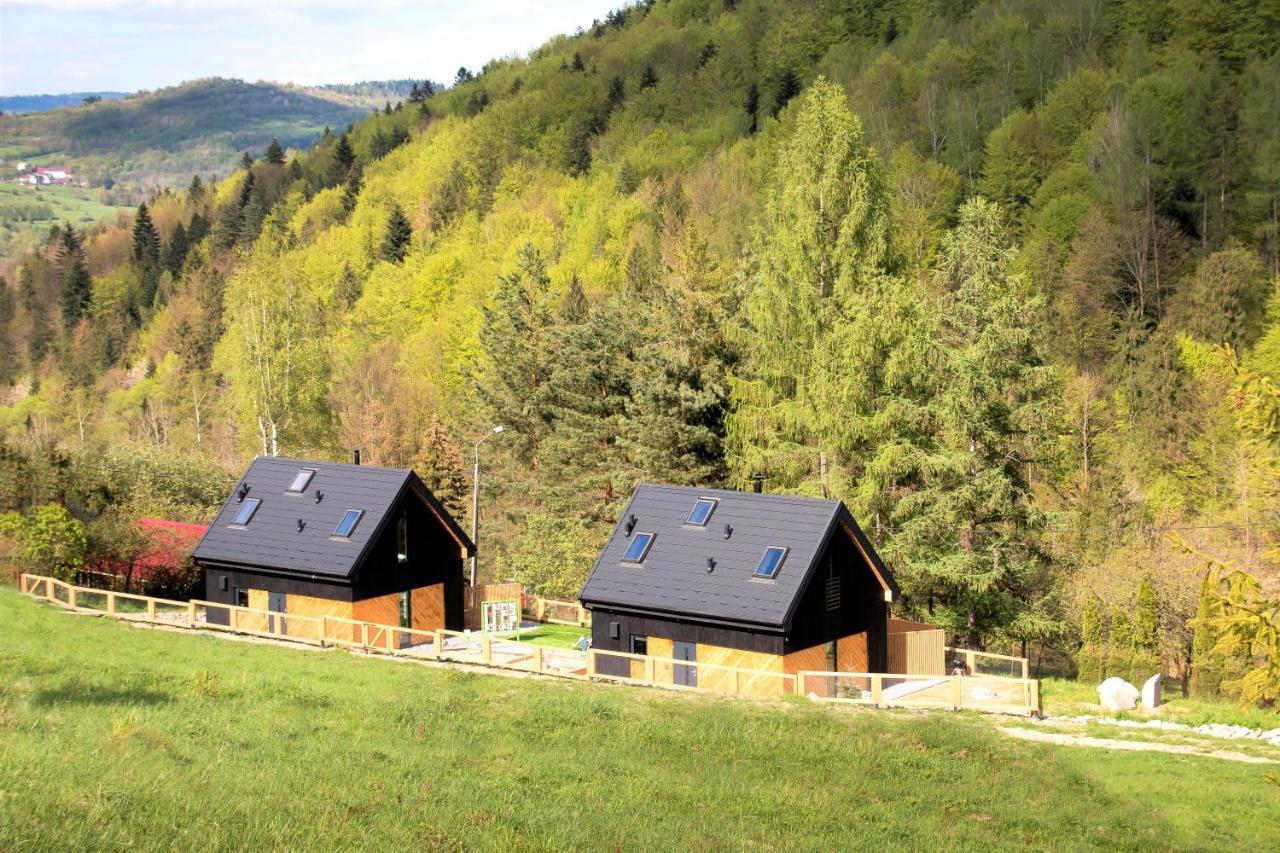 Projekt Swit - Domki Z Prywatna Jacuzzi I Sauna Żywiec Exteriör bild
